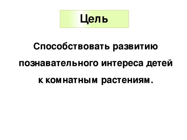 Презентация по экологическому воспитанию в ДОУ "Комнатные растения"