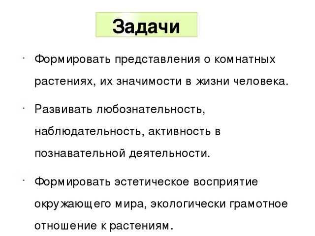 Презентация по экологическому воспитанию в ДОУ "Комнатные растения"