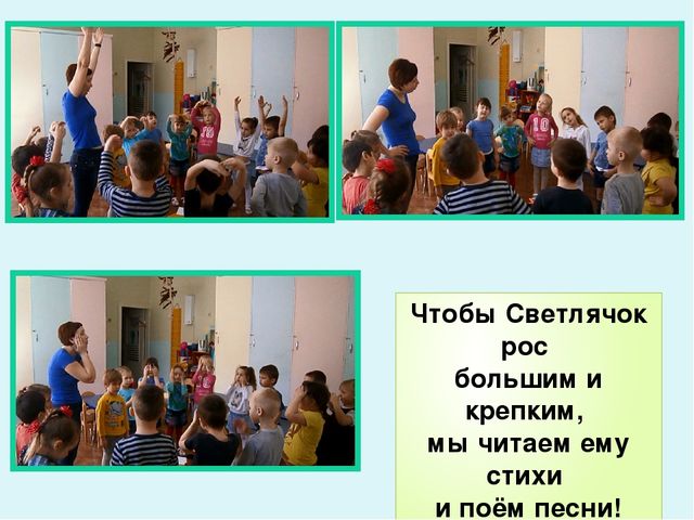 Презентация по экологическому воспитанию в ДОУ "Комнатные растения"