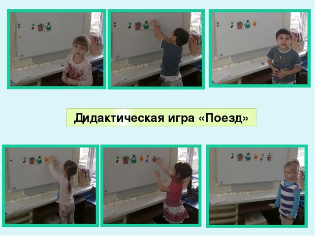 Презентация по экологическому воспитанию в ДОУ "Комнатные растения"