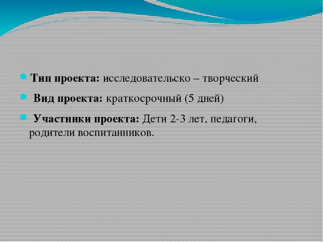 Презентация по развитию речи "Игрушки"