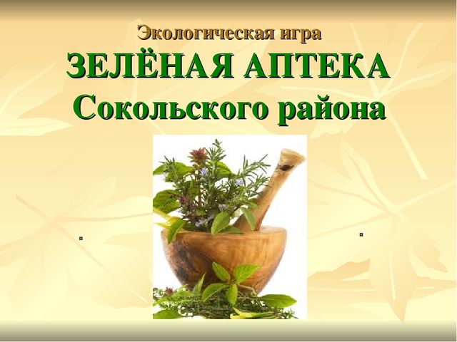 Презентация по экологии Зеленая аптека Сокольского района