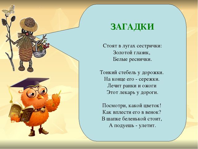 Презентация по экологии Зеленая аптека Сокольского района