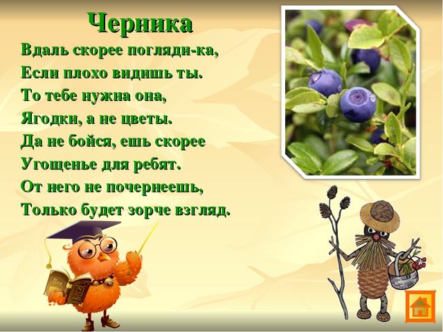 Презентация по экологии Зеленая аптека Сокольского района