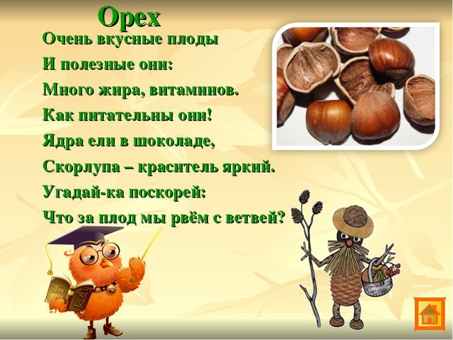Презентация по экологии Зеленая аптека Сокольского района