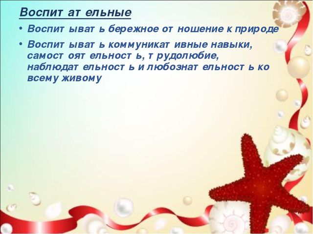 Презентация проекта" подводный мир " старшая и подготовительная группа