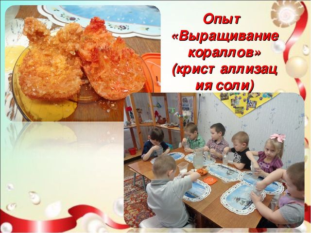 Презентация проекта" подводный мир " старшая и подготовительная группа
