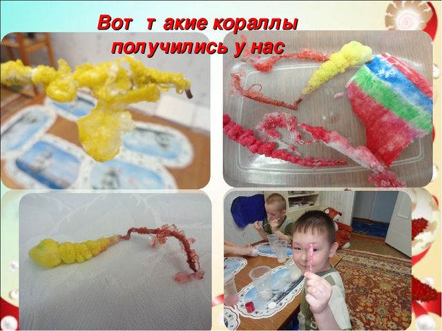 Презентация проекта" подводный мир " старшая и подготовительная группа