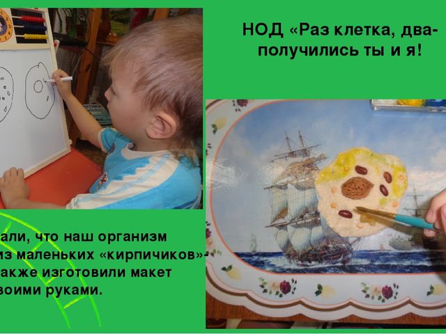 Увлекательный, научно-познавательный проект для детей старшего дошкольного возраста "Человек"