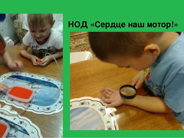 Увлекательный, научно-познавательный проект для детей старшего дошкольного возраста "Человек"