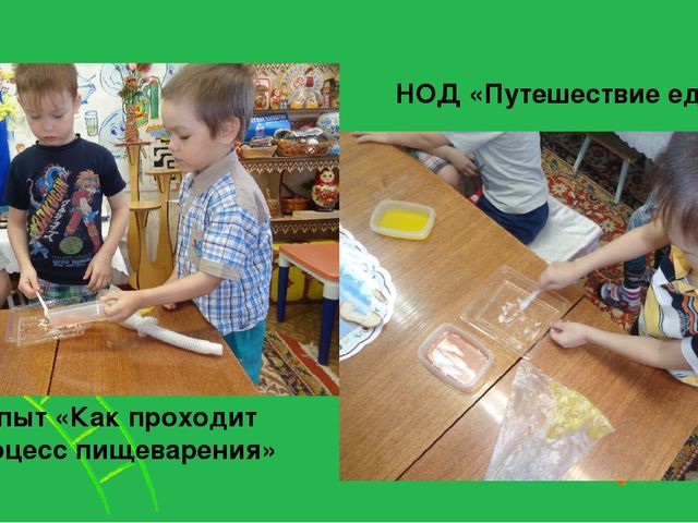 Увлекательный, научно-познавательный проект для детей старшего дошкольного возраста "Человек"