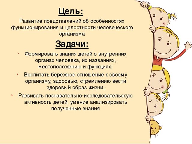 Познавательный проект для детей "Человек"