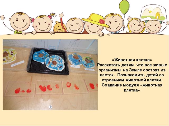 Познавательный проект для детей "Человек"