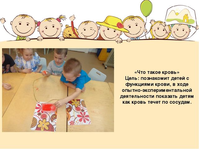 Познавательный проект для детей "Человек"
