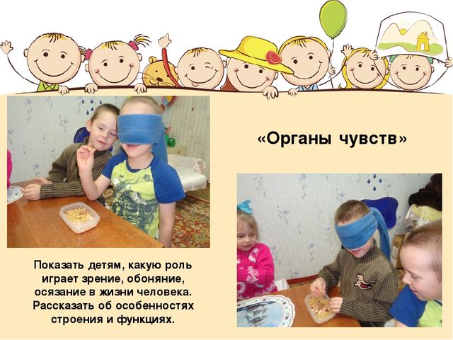 Познавательный проект для детей "Человек"