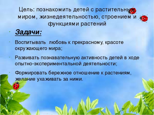 Проект "Растения" для старшей и подготовительной группы