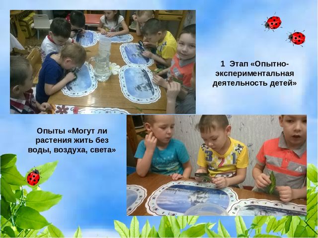 Проект "Растения" для старшей и подготовительной группы