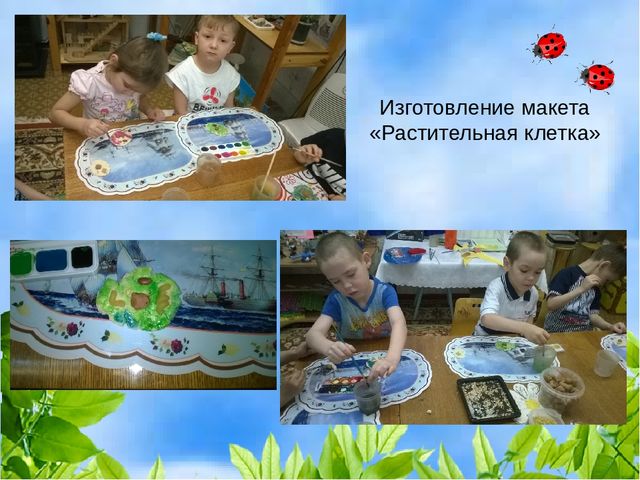 Проект "Растения" для старшей и подготовительной группы