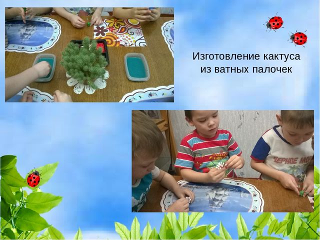 Проект "Растения" для старшей и подготовительной группы