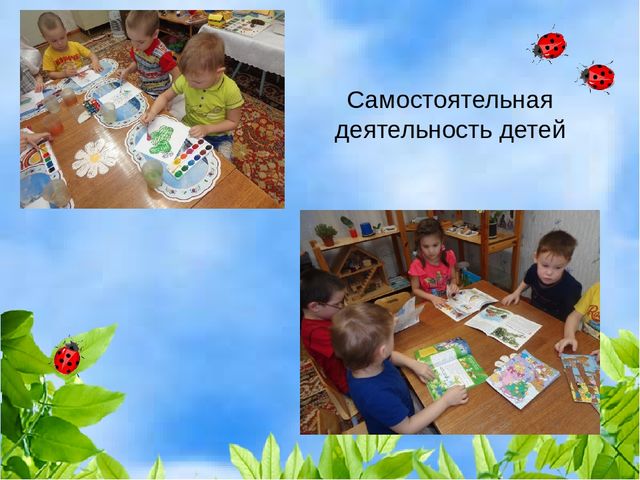 Проект "Растения" для старшей и подготовительной группы