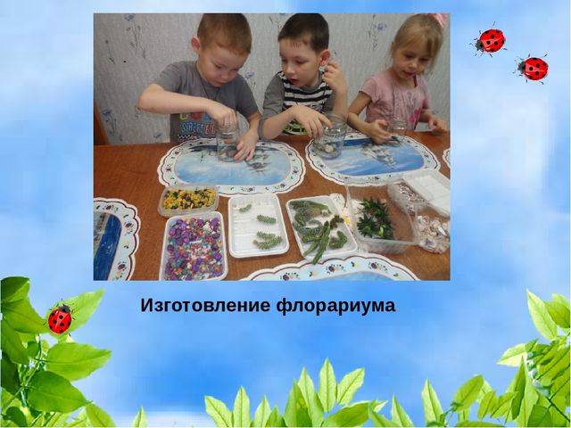 Проект "Растения" для старшей и подготовительной группы