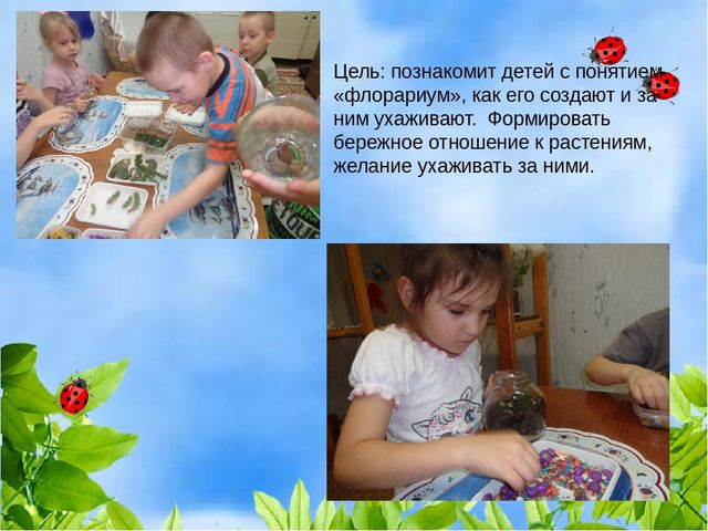 Проект "Растения" для старшей и подготовительной группы
