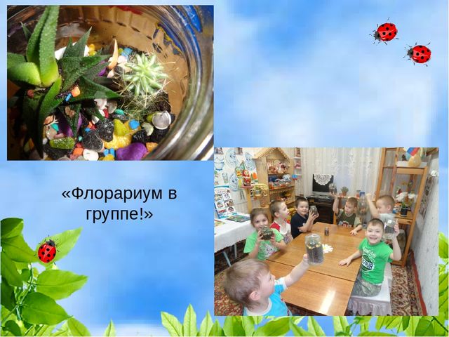 Проект "Растения" для старшей и подготовительной группы