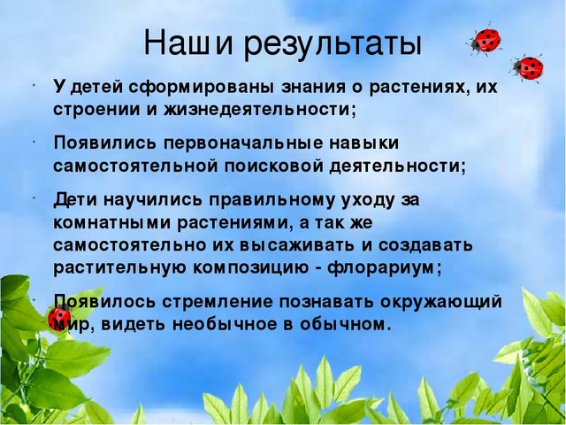Проект "Растения" для старшей и подготовительной группы