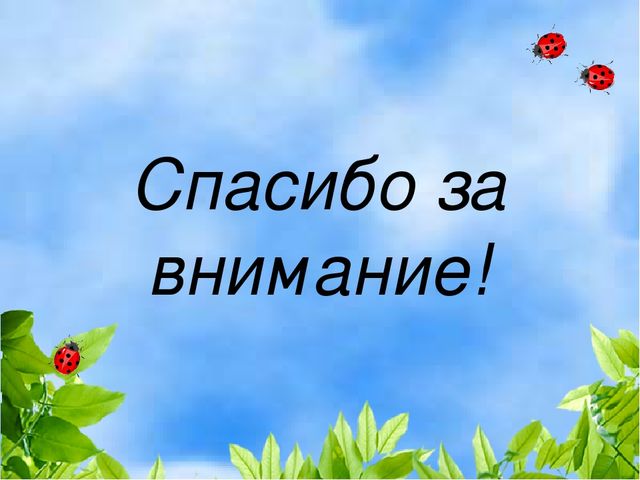 Проект "Растения" для старшей и подготовительной группы