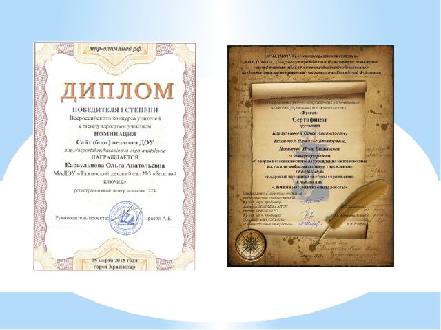 Презентация портфолио "Мои достижения"