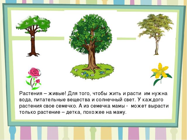 Презентация на тему " Мальчики и девочки- два разных мира"