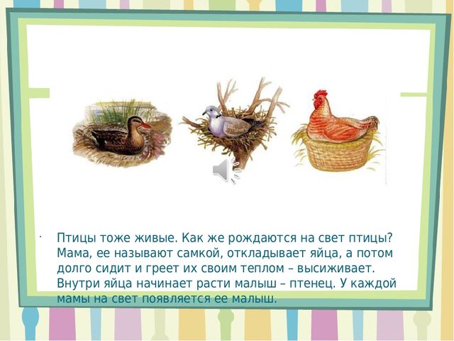 Презентация на тему " Мальчики и девочки- два разных мира"
