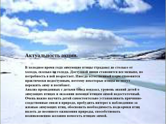 Акция "покормите птиц зимой"