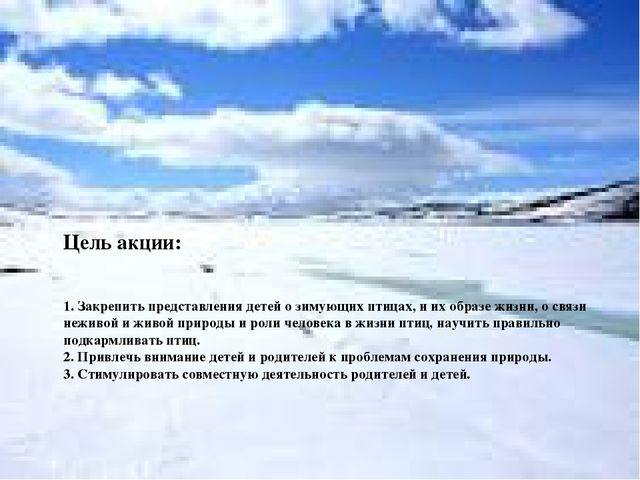 Акция "покормите птиц зимой"