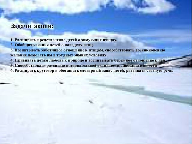Акция "покормите птиц зимой"