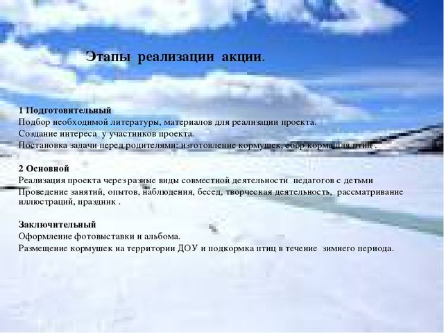 Акция "покормите птиц зимой"