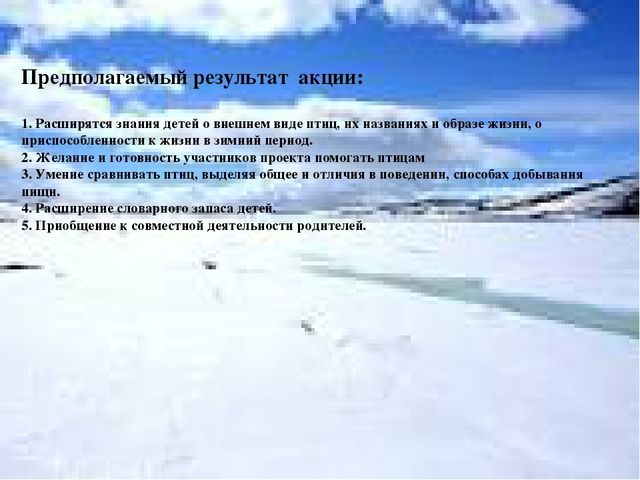 Акция "покормите птиц зимой"