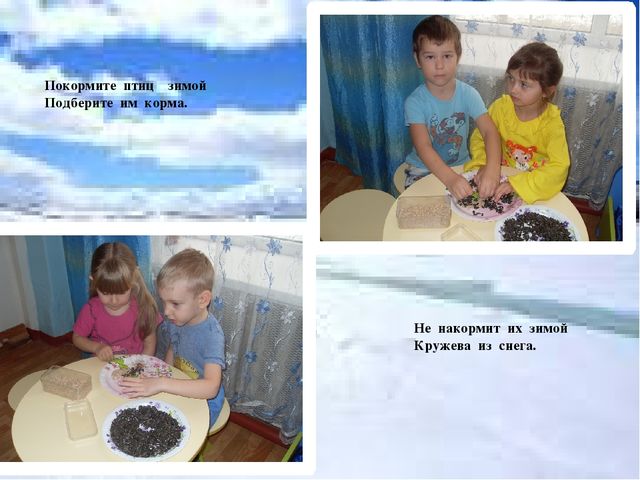Акция "покормите птиц зимой"