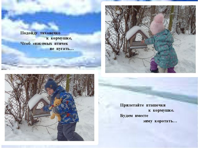 Акция "покормите птиц зимой"
