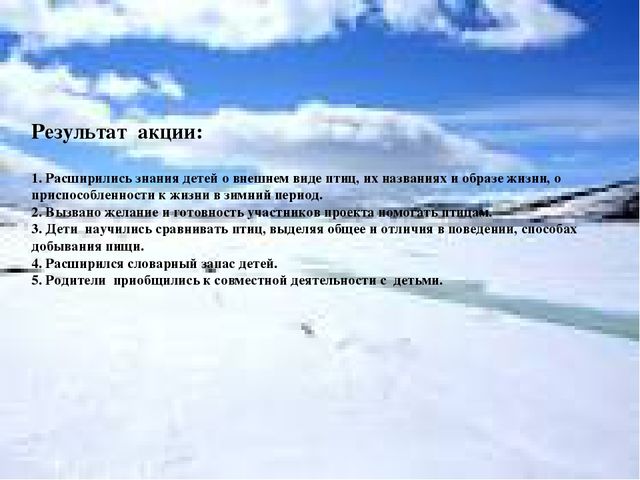 Акция "покормите птиц зимой"
