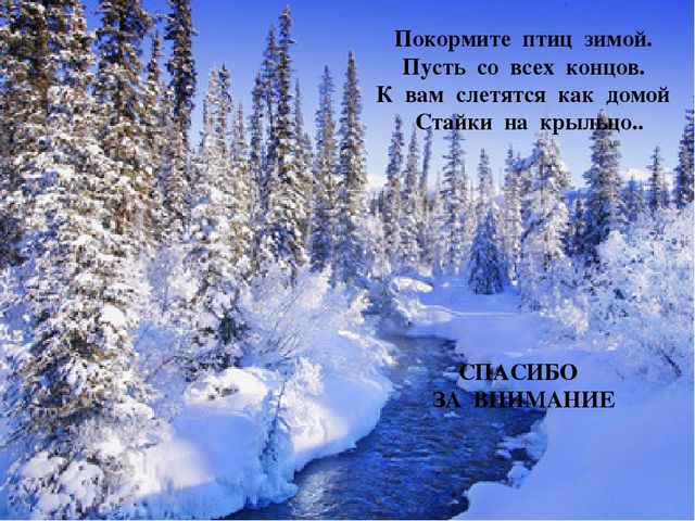 Акция "покормите птиц зимой"