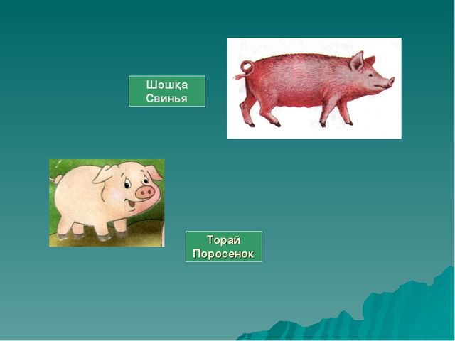 Презентация "Домашние животные и их детеныши"