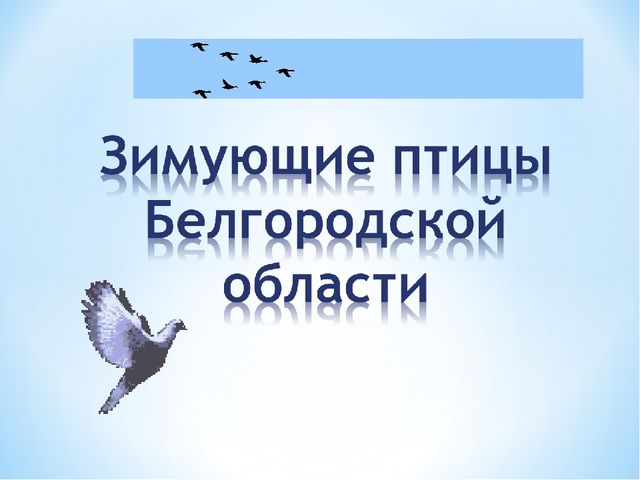 Презентация "Зимующие птицы Белгородской области"