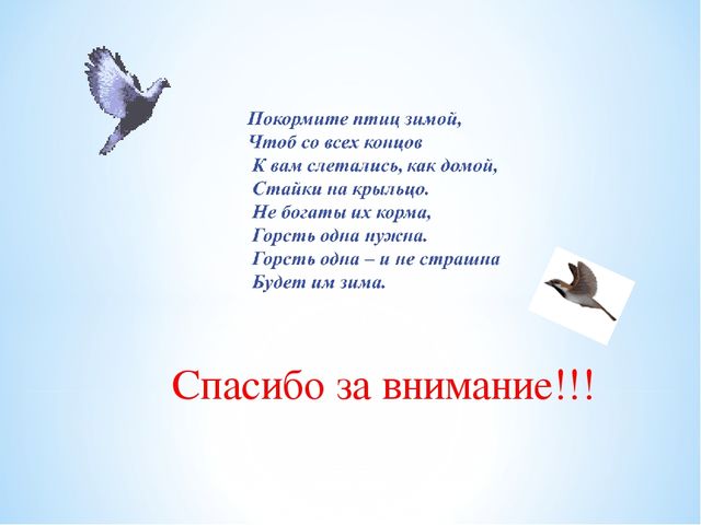 Презентация "Зимующие птицы Белгородской области"