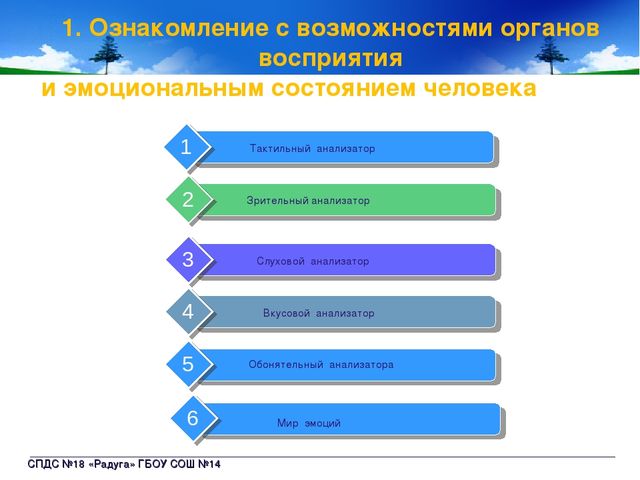 ОТСМ-ТРИЗ-РТВ: освоение детьми способов познания