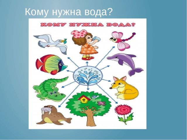 Презентация по ФЦКМ Вода. Свойства воды