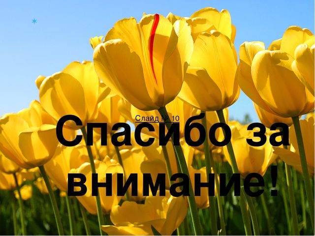 Презентация Воспитание основ ЗОЖ у детей дошкольного возраста разновозрастной группе