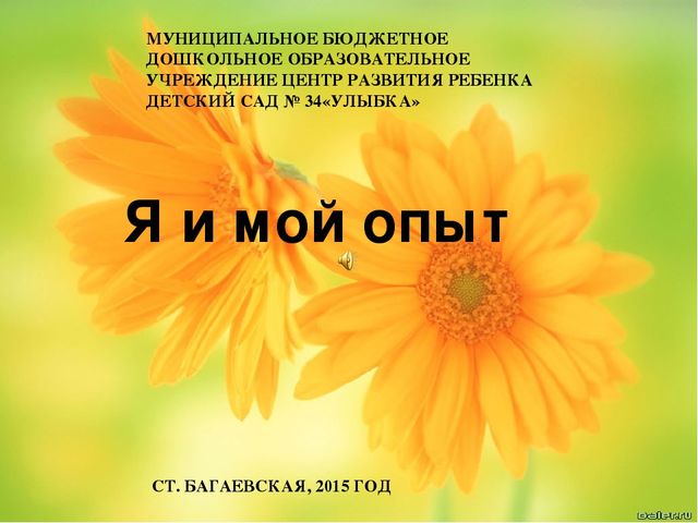 Презентация "Я и мой опыт "