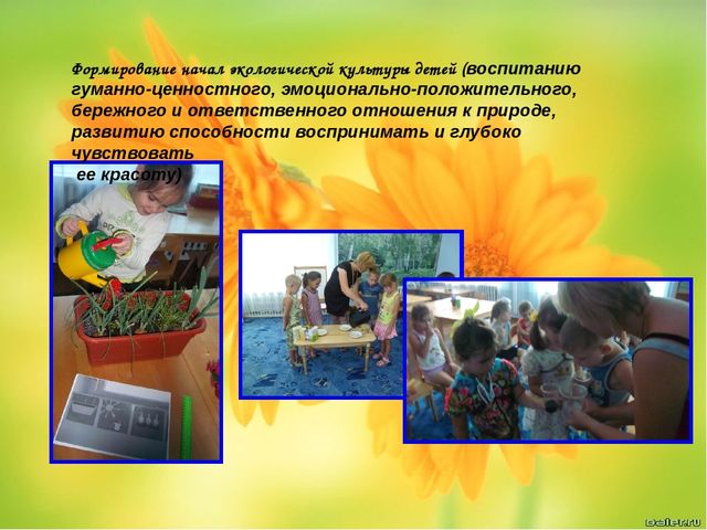 Презентация "Я и мой опыт "