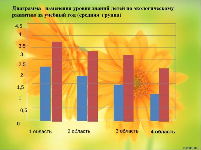 Презентация "Я и мой опыт "